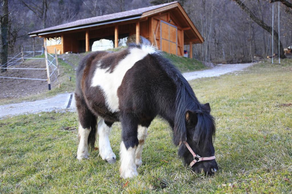 Agritur La Polentera Pensionat Storo Exteriör bild